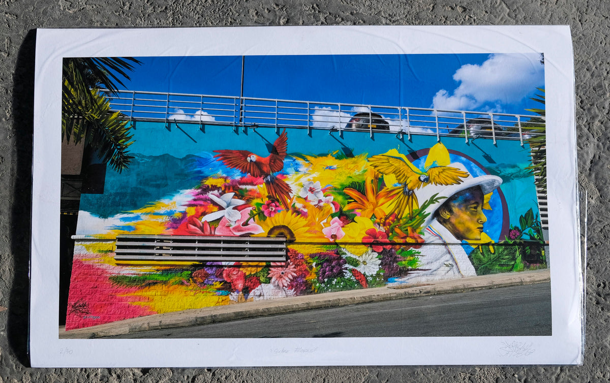Entre flores (Among flowers)- Yurica